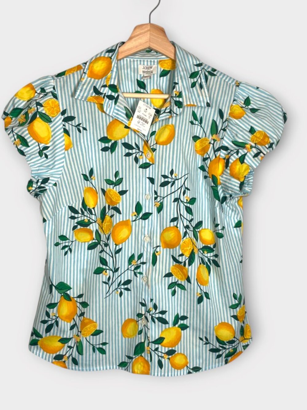 J. Crew Lemon Print Puff Sleeve Shirt Blue White Stripe Button Up Cotton NWT M